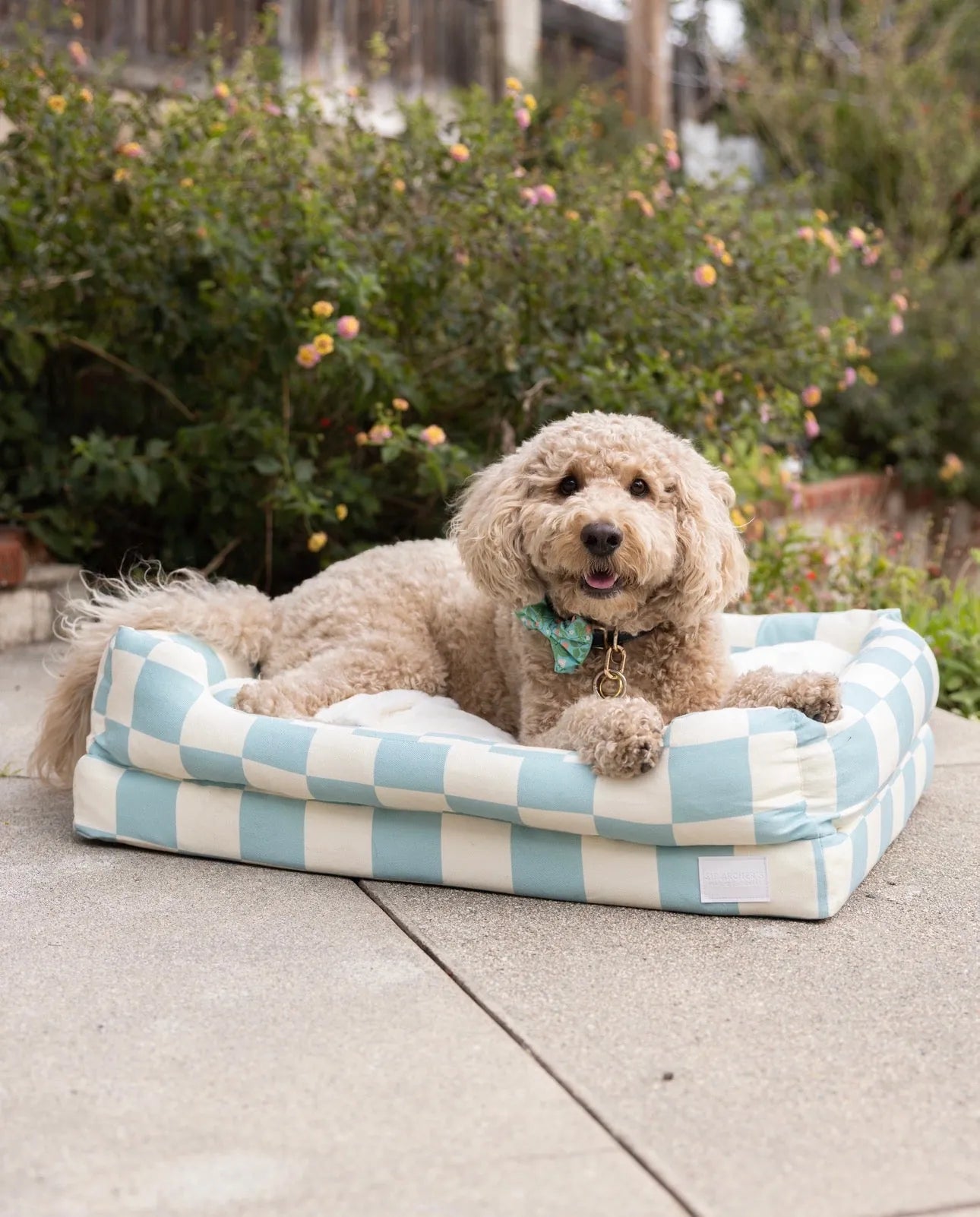 A dog relaxing on the Sir Archer's Everyday Bed outdoors among spring greenery