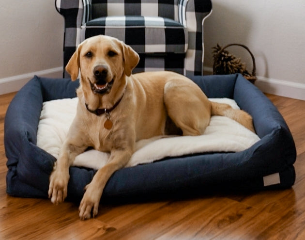 8 Factors That Make the Best Dog Bed for Your Canine